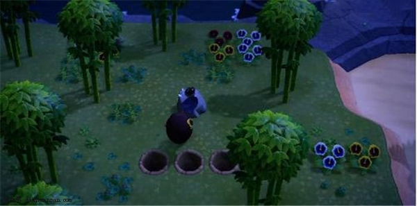 集合啦动物森友会(图2)