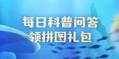 在地理学中，四周被海水包围的小块陆地叫什么