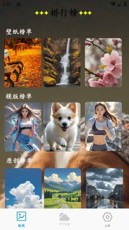 口袋壁纸 官方下载安卓版(图2)